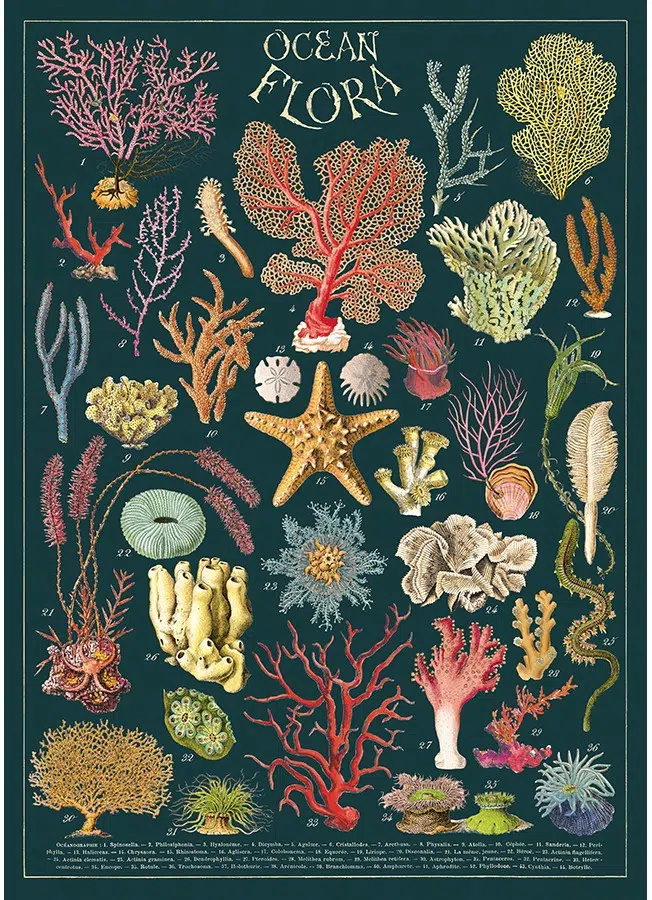 Ocean Flora plakat - Cavallini & Co