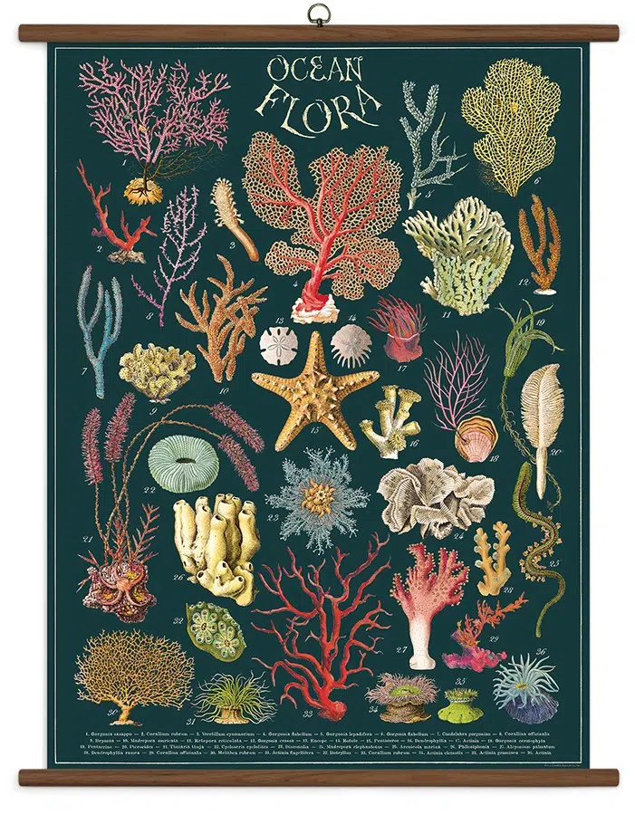 Ocean Flora stor plakat - Cavallini & Co