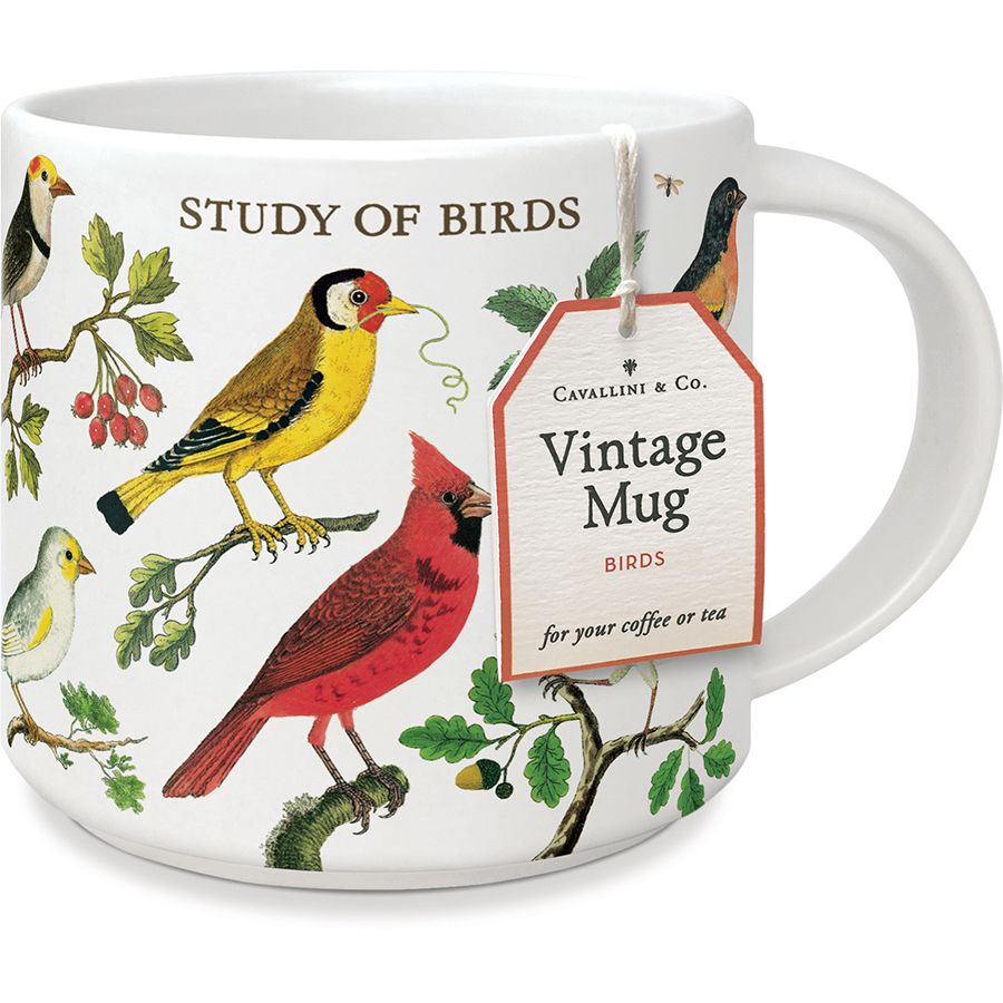 Study of birds krus - Cavallini & Co