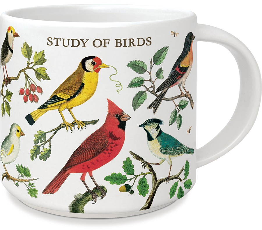 Study of Birds krus - Cavallini & Co