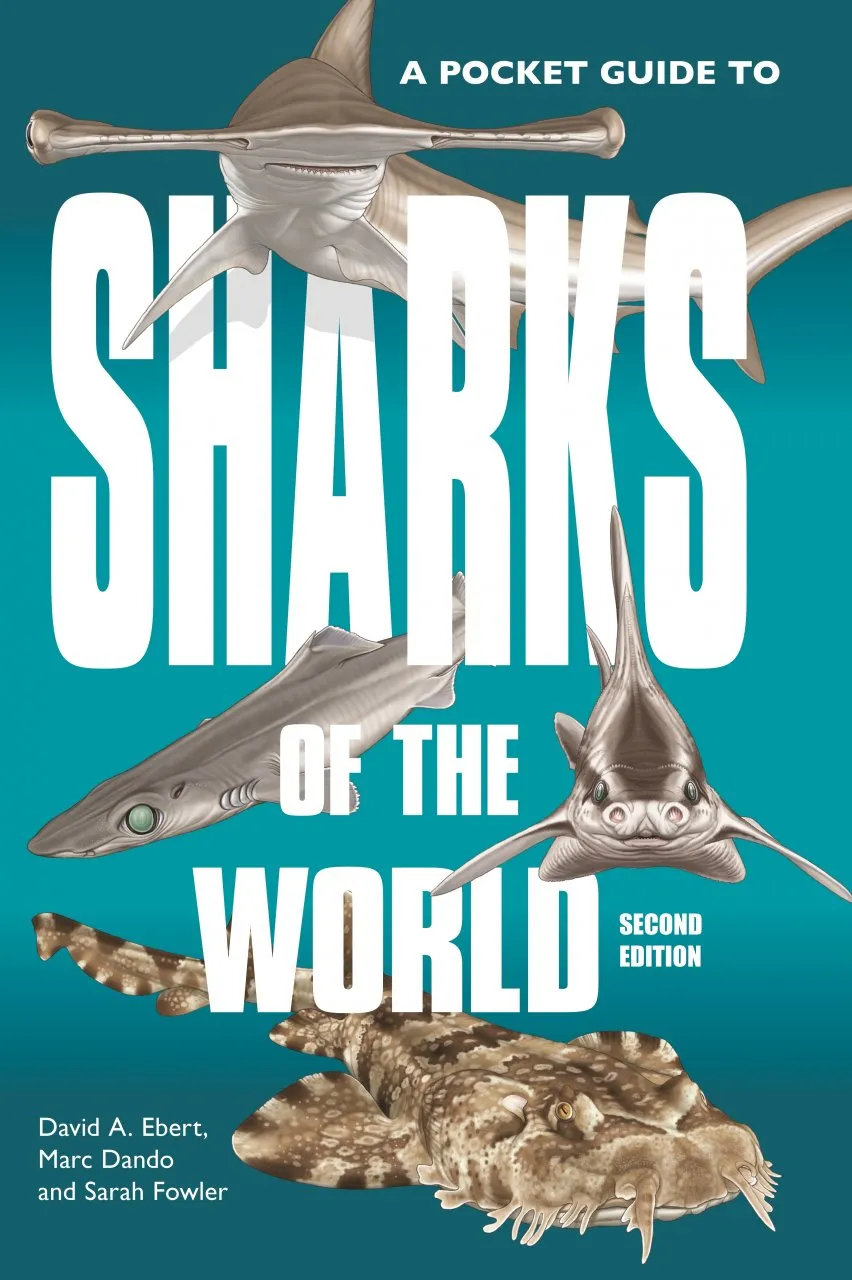 Forside til A Pocket Guide to Sharks of the World