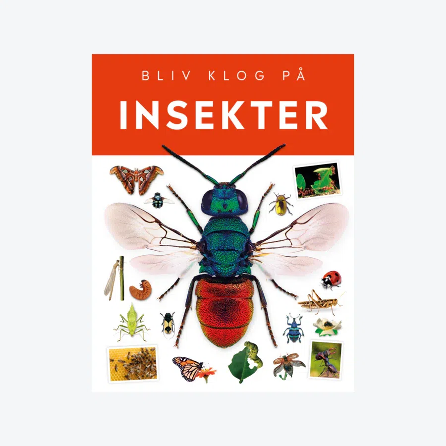 Thumbnail til insektbøger til Børn