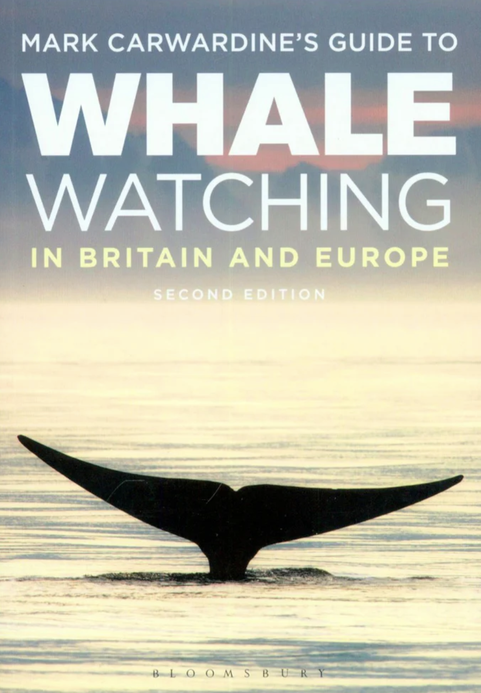 Forside til Mark Carwardine's Guide to Whale Watching in Britain and Europe