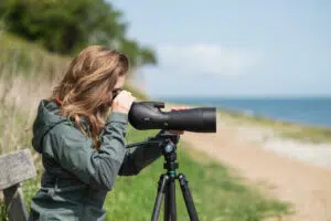 DOF BirdLife Swanteleskop