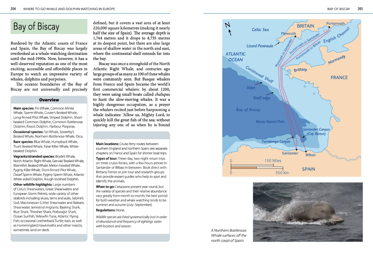Eksempel 1 til Mark Carwardine's Guide to Whale Watching in Britain and Europe