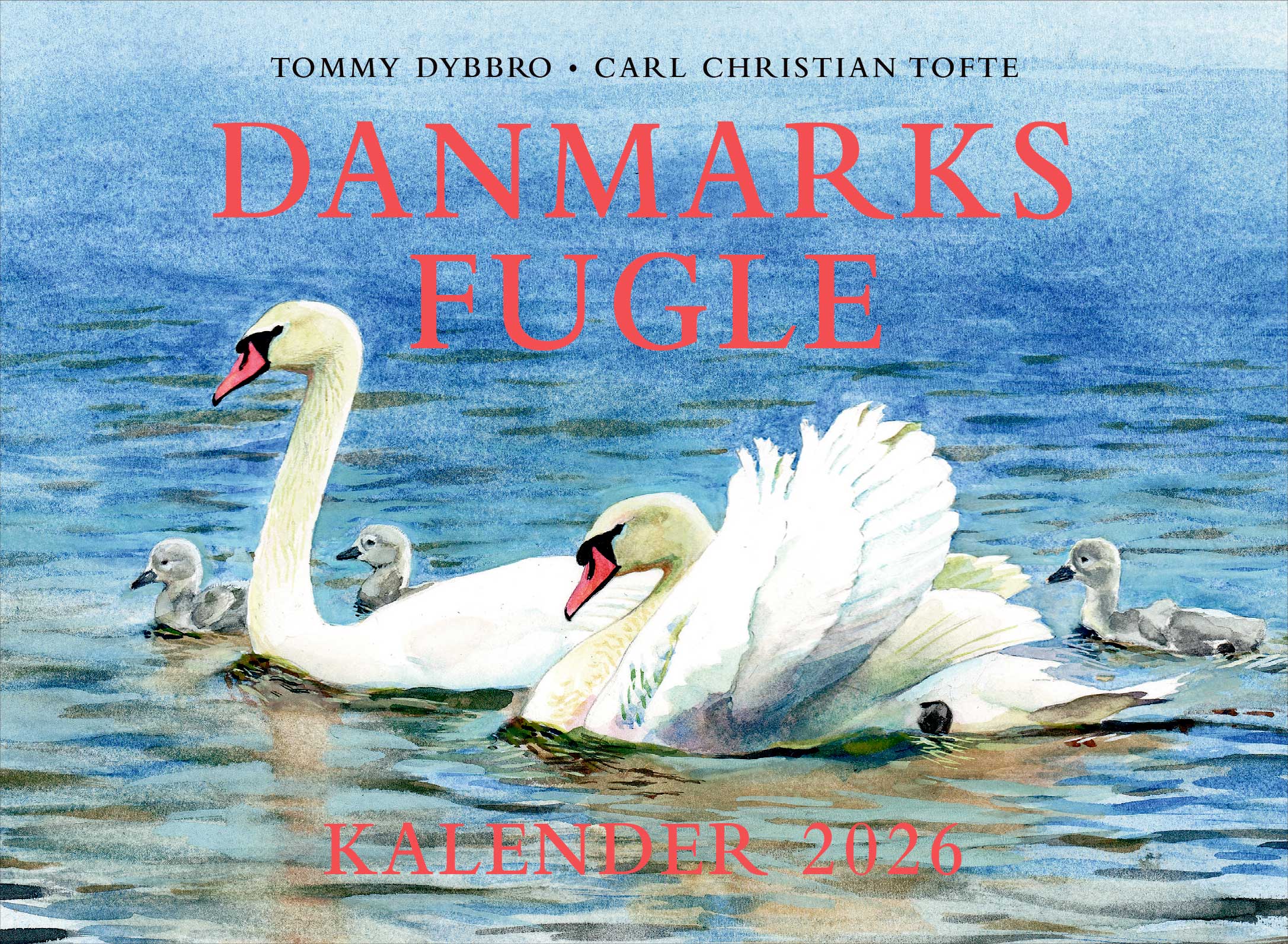 Forside til kalenderen Danmarks Fugle 2026 af Carl Christian Tofte