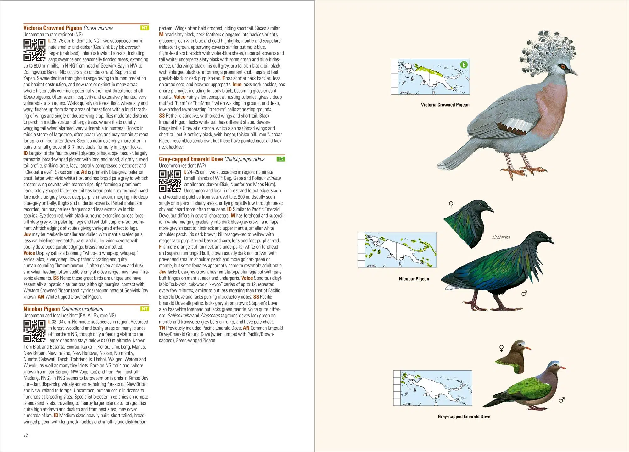 Eksempel på 2. udgave af fuglebogen Birds of New Guinea #1