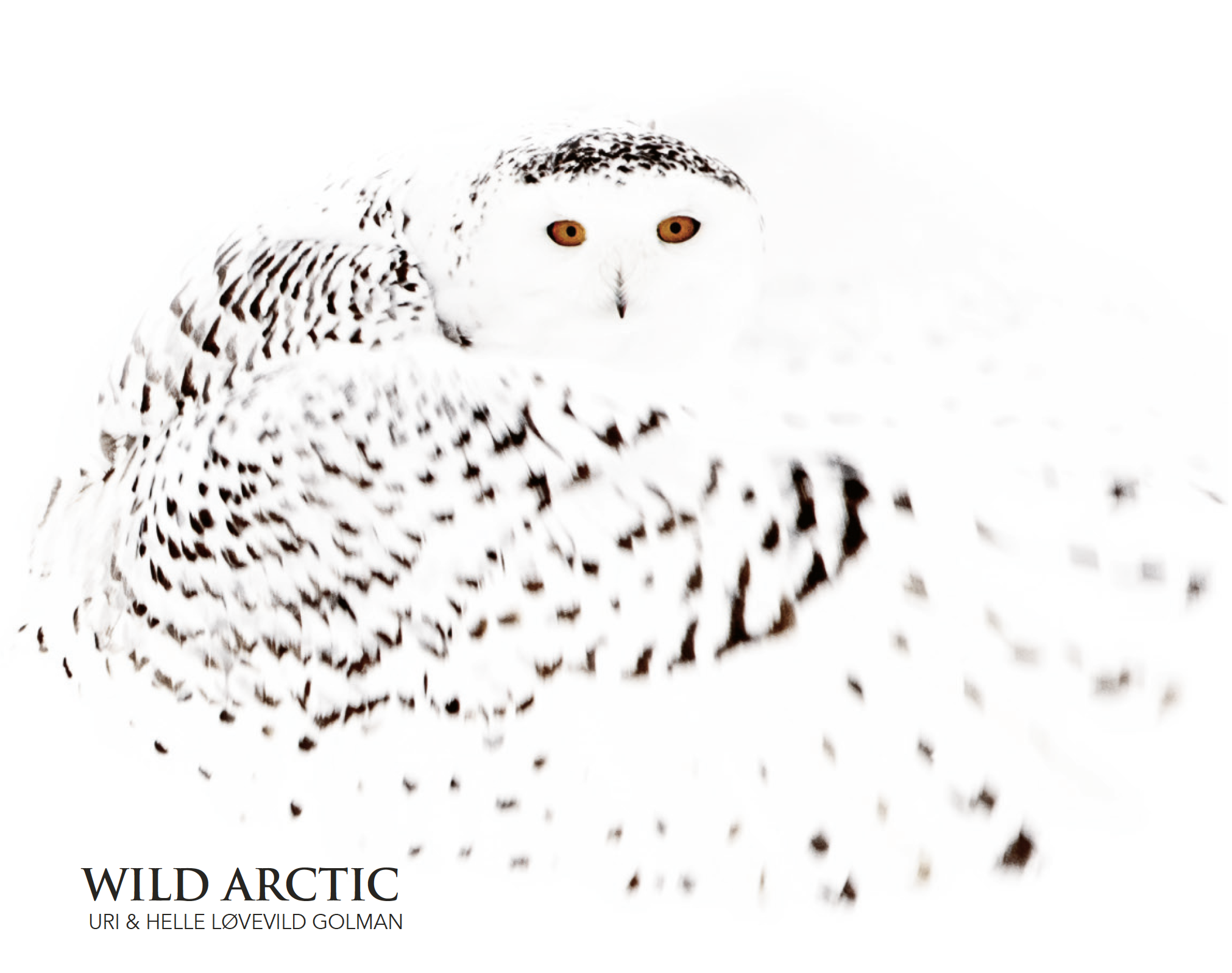 WILD Arctic - Bog af Helle og Uri Løvevild
