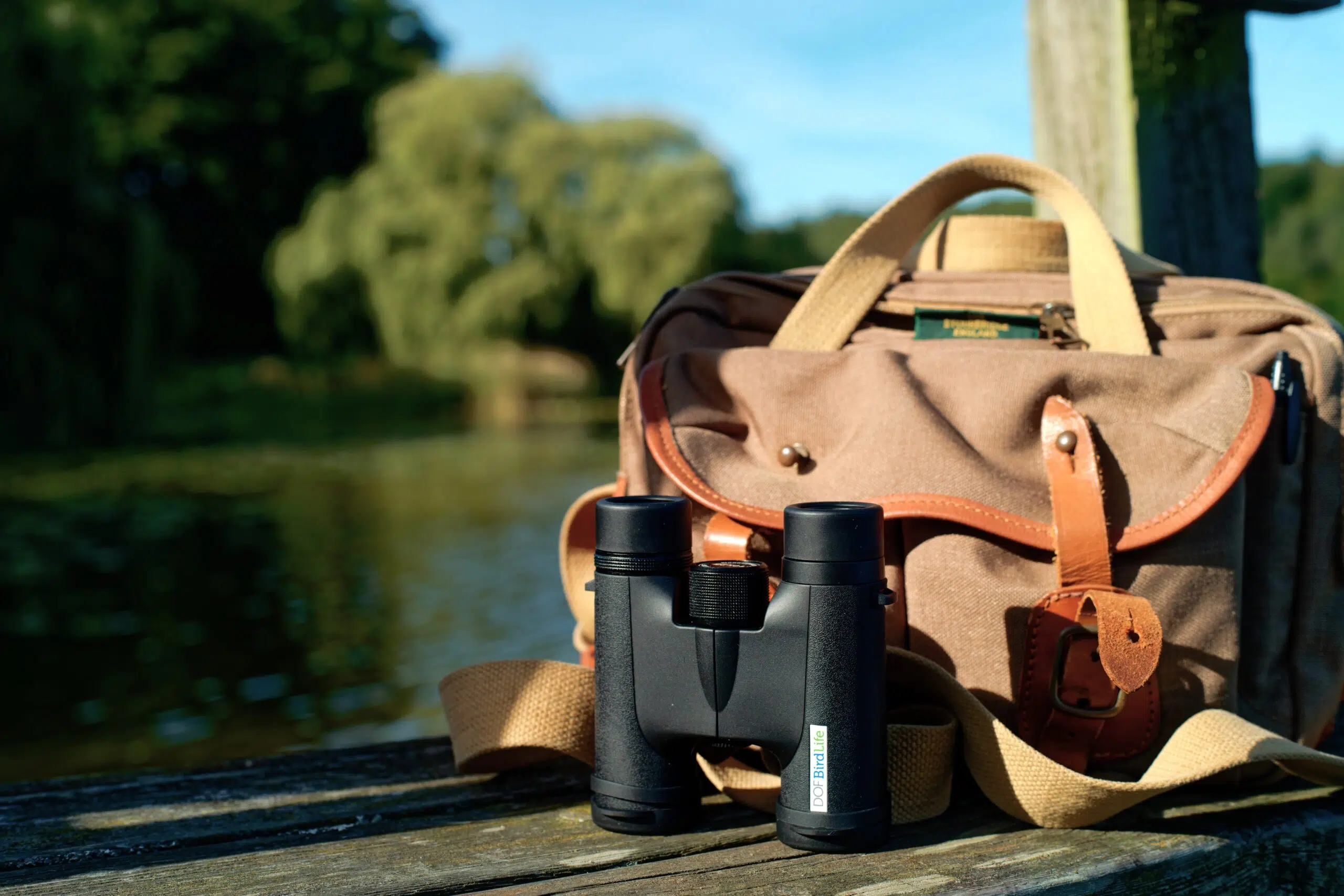 Stemningsbillede Goldcrest / Firecrest DOF BirdLife 1