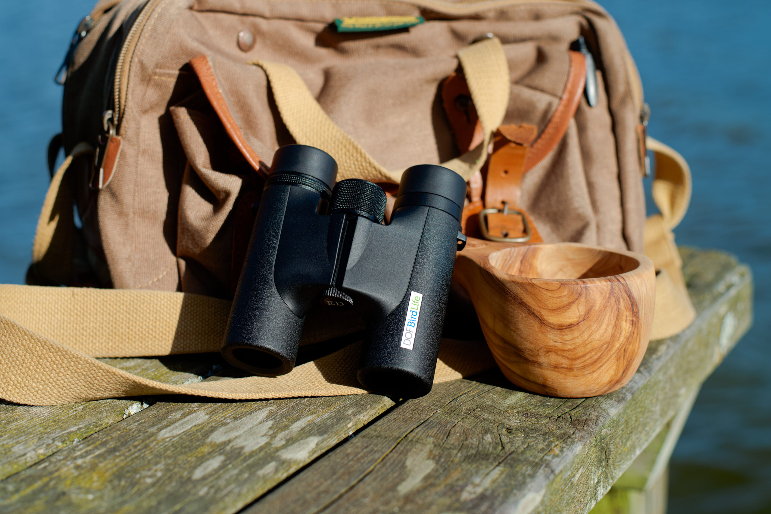 Stemningsbillede Goldcrest / Firecrest DOF BirdLife 3