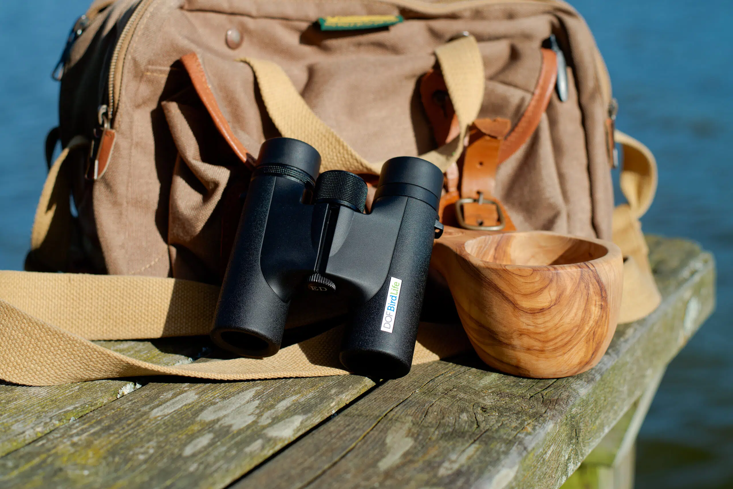 Stemningsbillede Goldcrest / Firecrest DOF BirdLife 3
