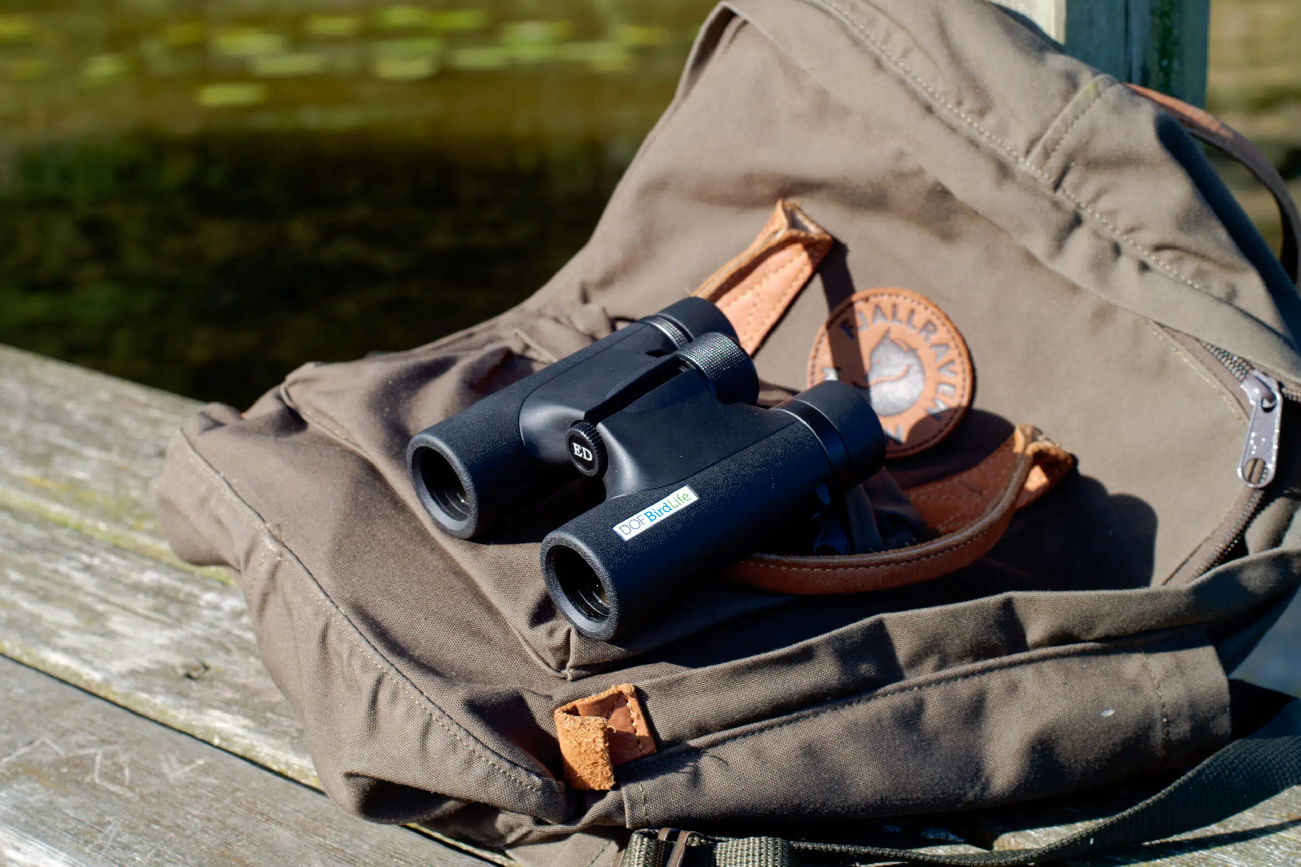 Stemningsbillede Goldcrest / Firecrest DOF BirdLife 2