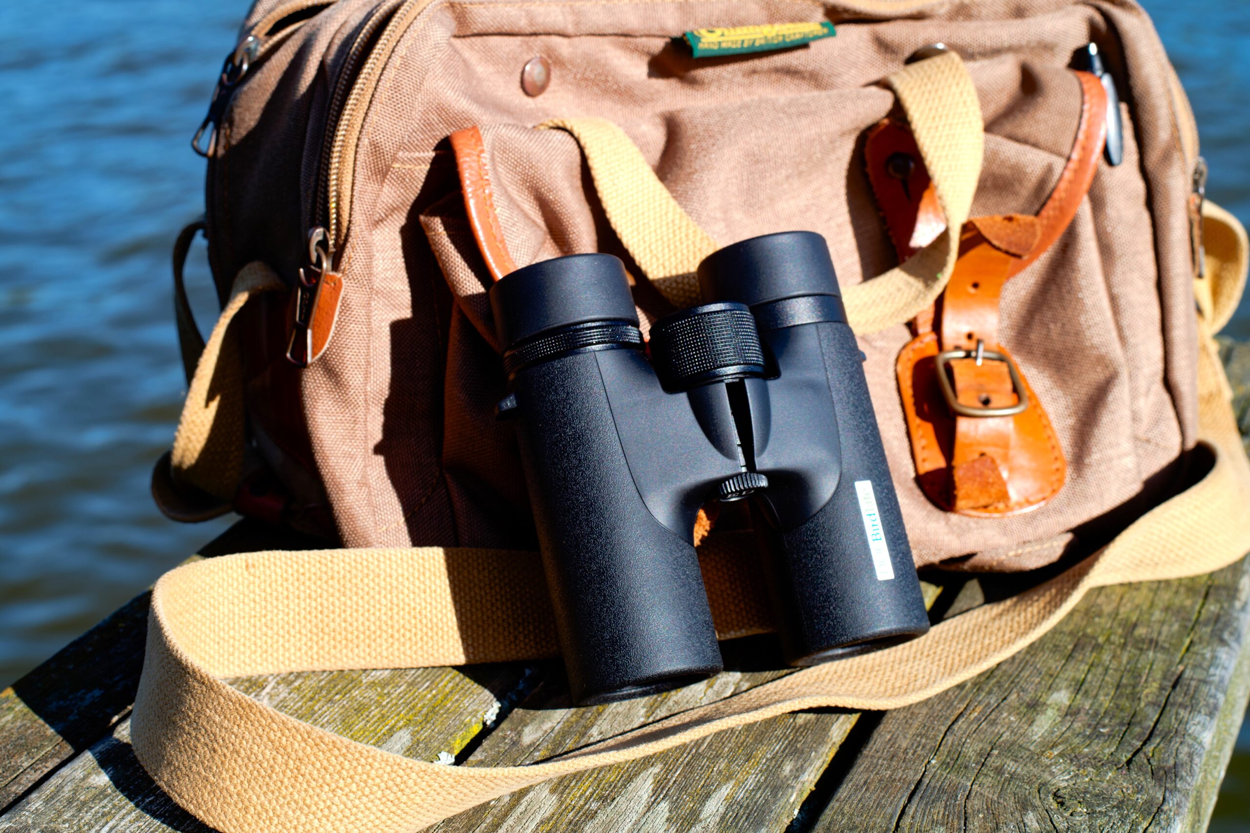 Stemningsbillede Waxwing/ Nuthatch DOF BirdLife 1
