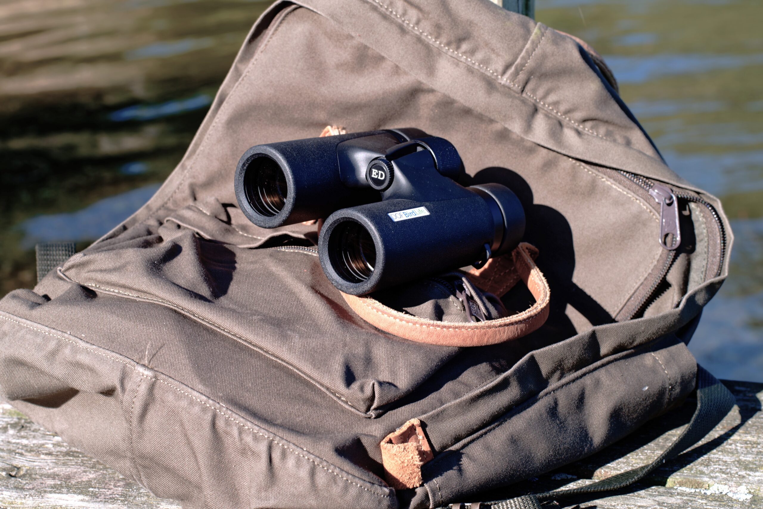 Stemningsbillede Waxwing/ Nuthatch DOF BirdLife 3