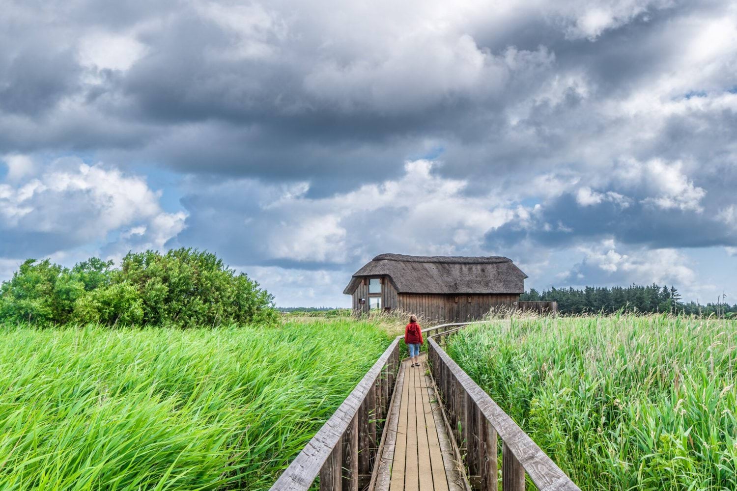 Vejlerne,National,Protected,Park,Walking,Paths,And,Bird,Watching,Stations