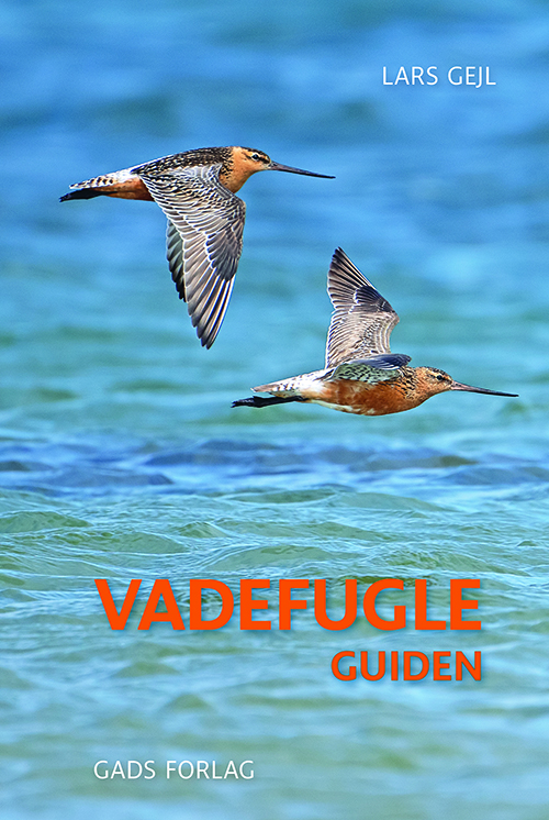 Forside til bogen Vadefugleguide af Lars Gejl