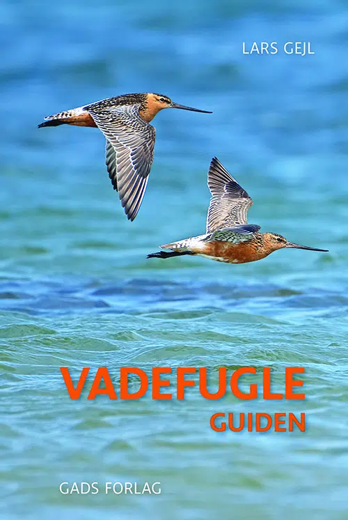 Forside til bogen Vadefugleguide af Lars Gejl
