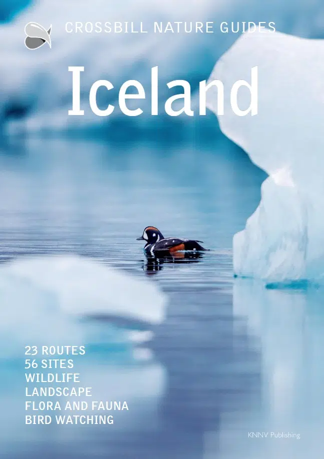 Crossbill-guides-Iceland-forside