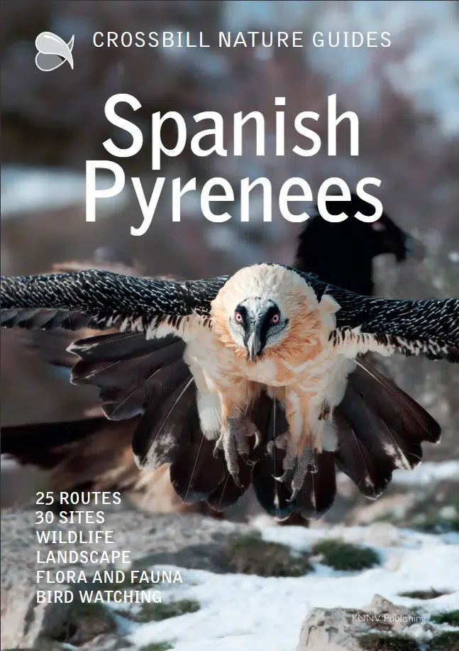 Crossbill-guides-Spanish-Pyrenees-forside