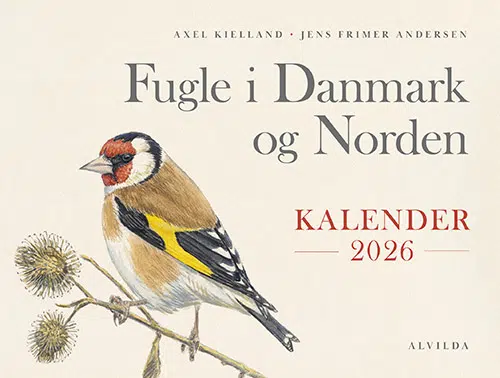 fugle-i-danmark-og-norden-kalender-2026