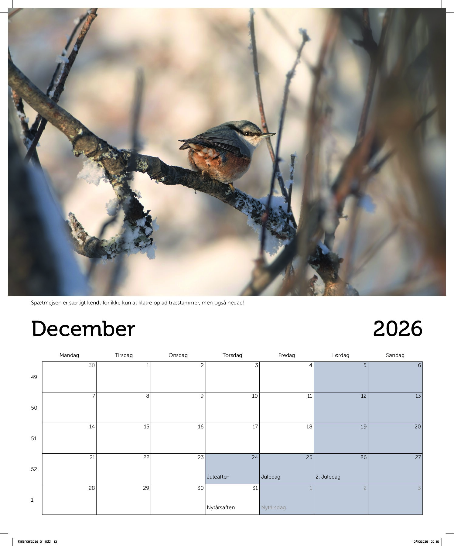 Eksempel DOF kalender 2026 fugl 2