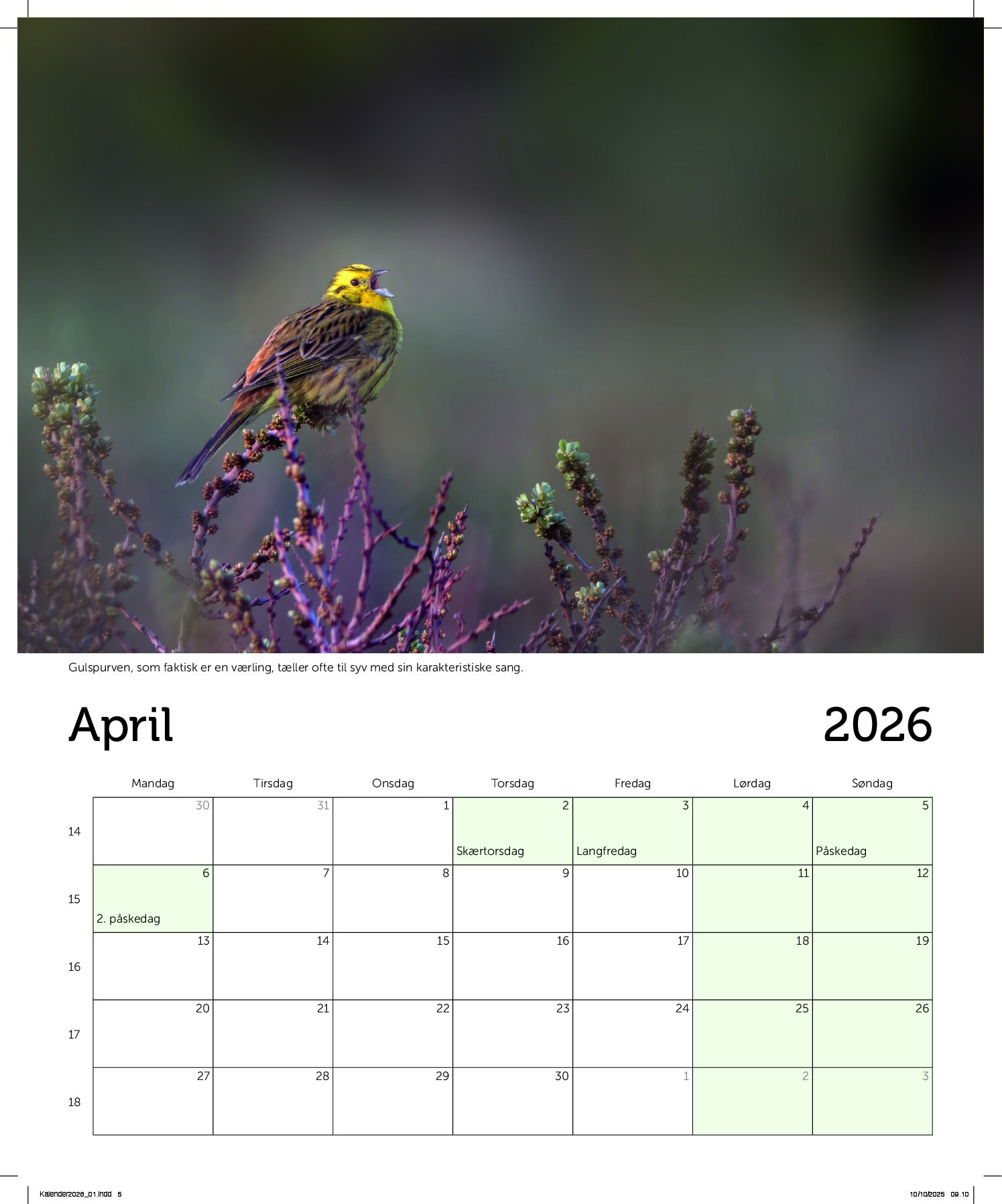 Eksempel DOF kalender 2026 fugl 1