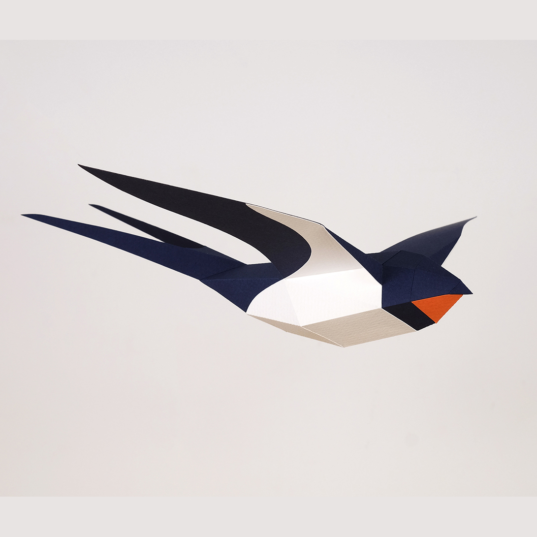 Fold-selv-fugl landsvale