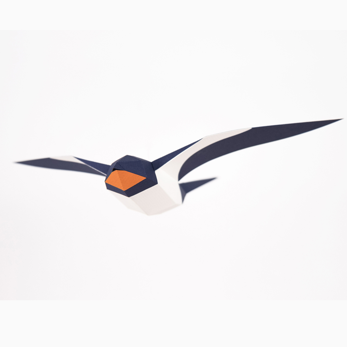 Fold-selv-fugl landsvale