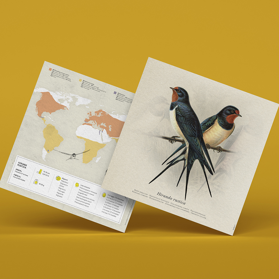 Fold-selv-landsvale papirfugl