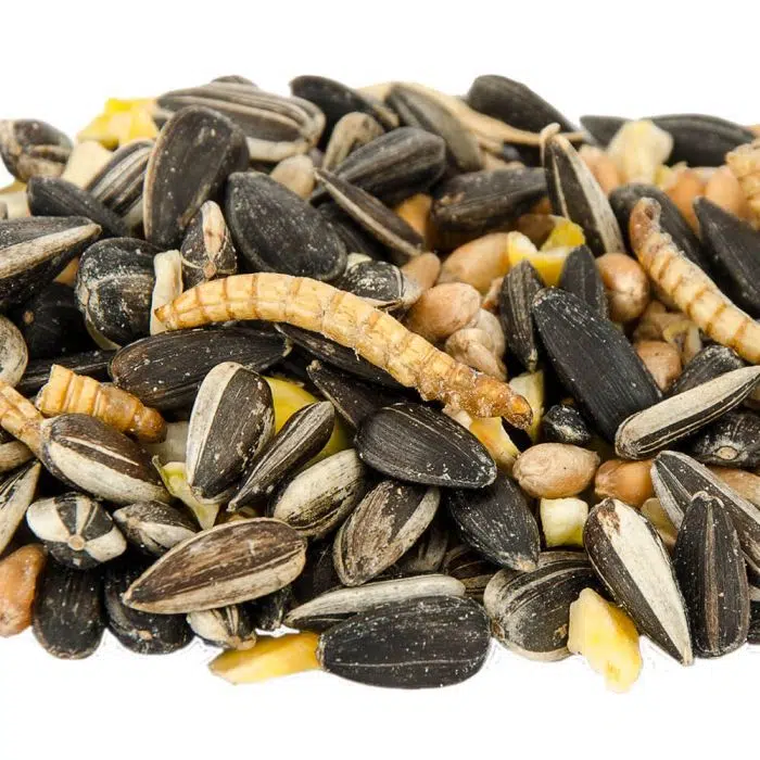 CJW frøblanding med insekter 1 Kg