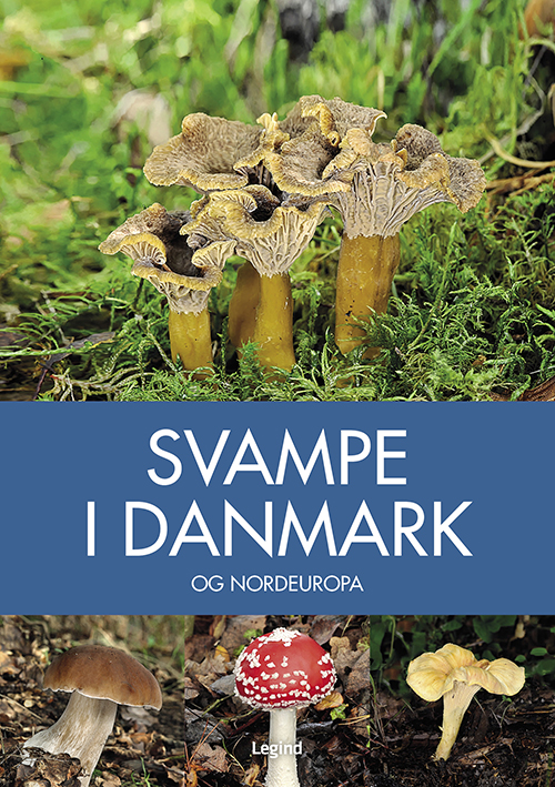 Svampe i Danmark forside