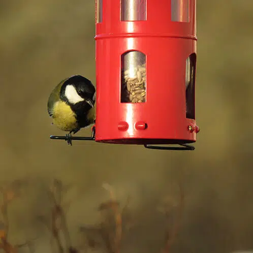 Wildlife Garden fodertårn i metal – Rød
