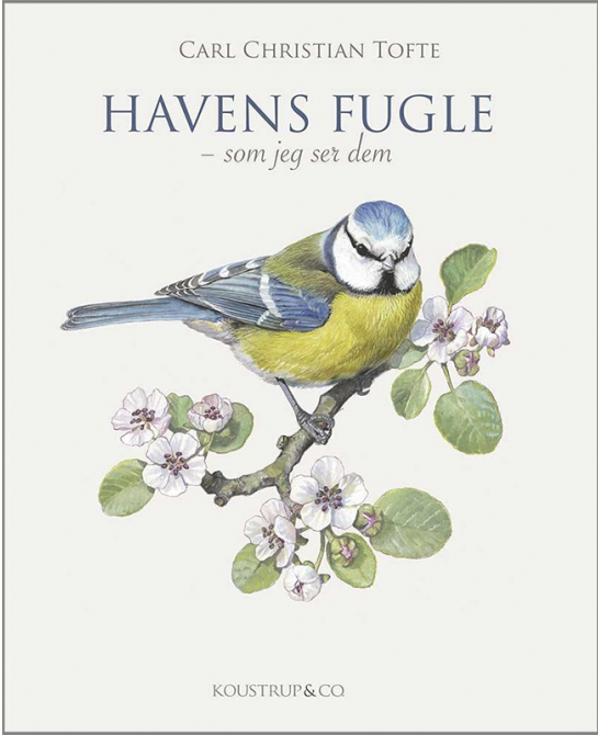 koustrup-og-co-havens-fugle-2