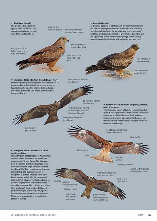 felthaandbog---billeder