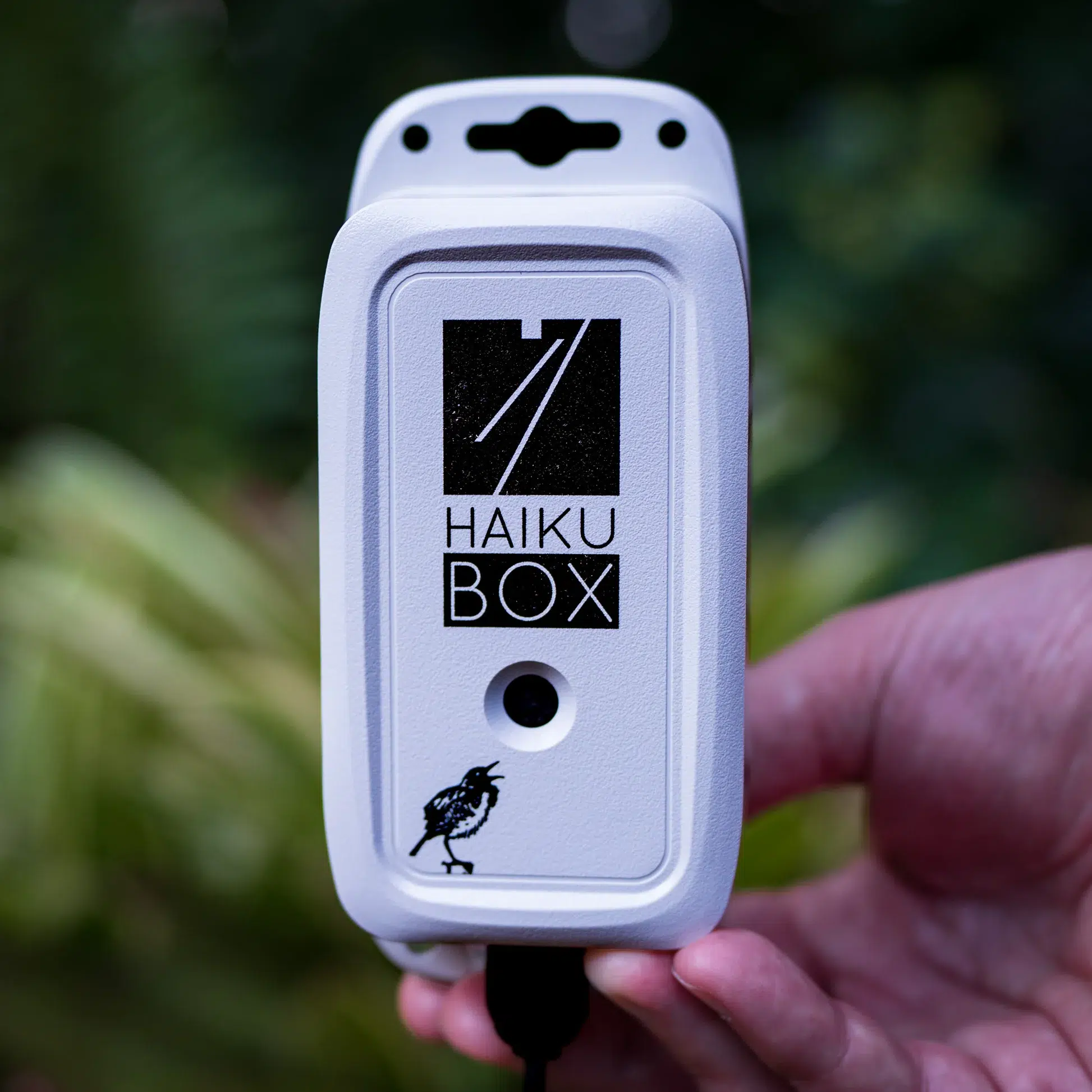 Haikubox mikrofon til havefugle