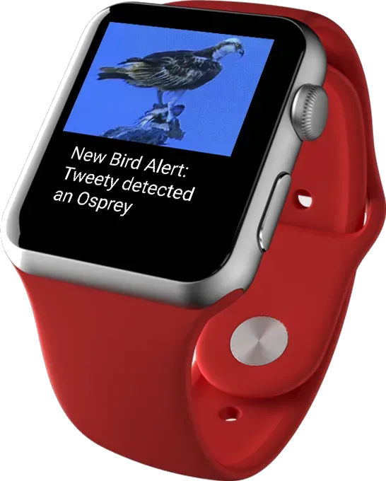 Haikubox mikrofon til havefugle