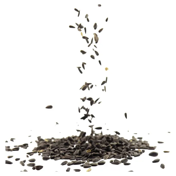 CJ Wildlife økologiske sorte solsikkefrø