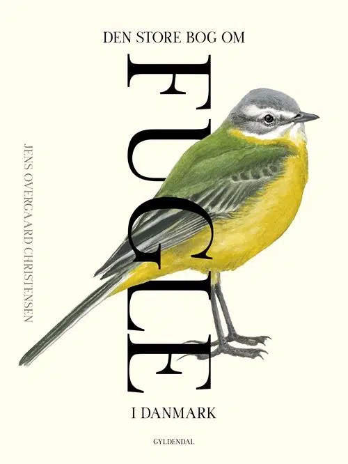 Den store bog om fugle i Danmark - Forside