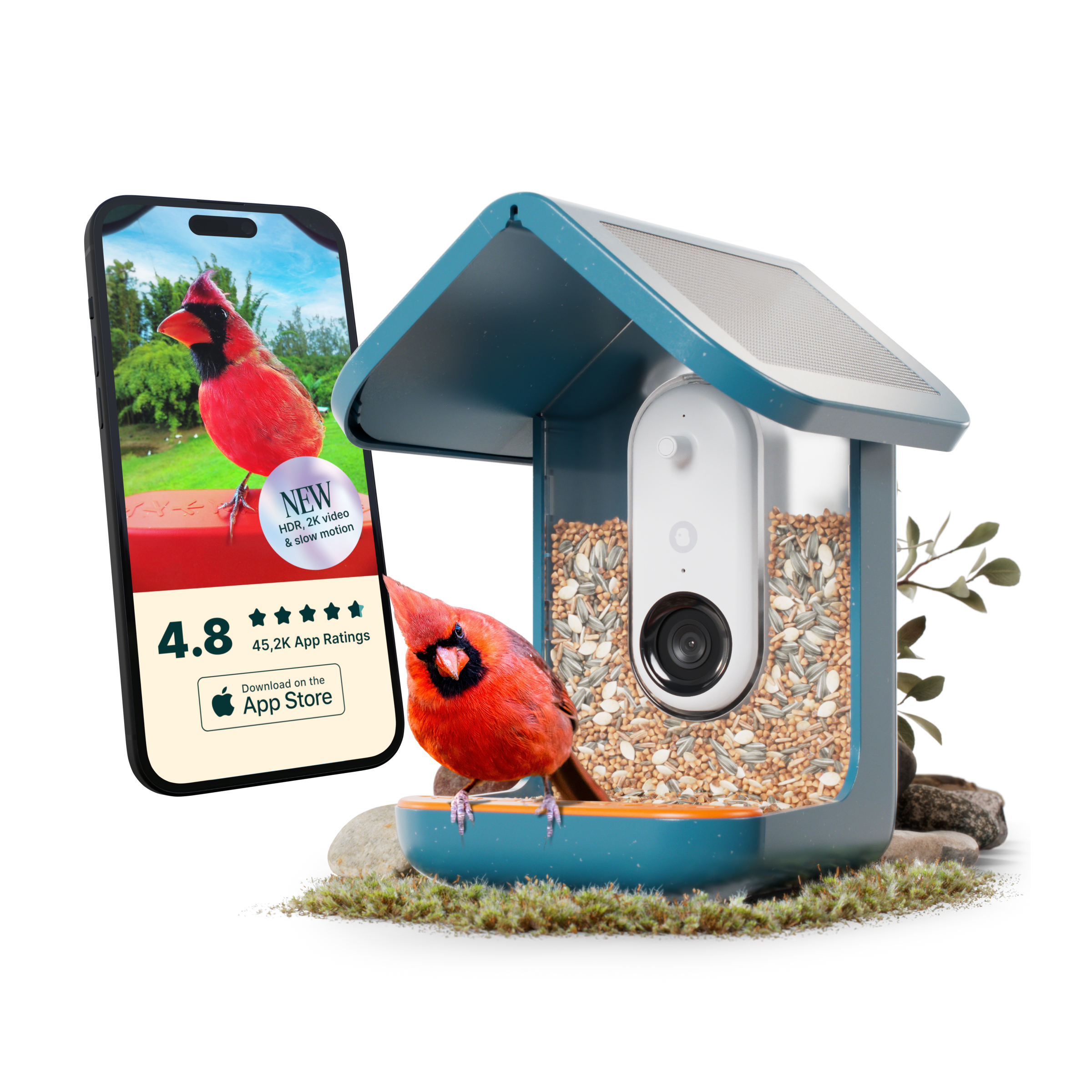 BirdBuddy Solar Pro foderstation