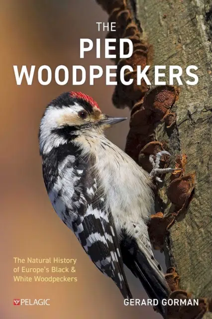 The Pied Woodpeckers - Forside
