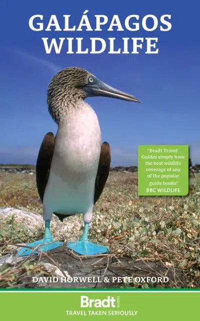 Galapagos Wildlife - Forside