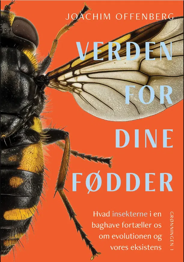 Verden for din fødder - Forside
