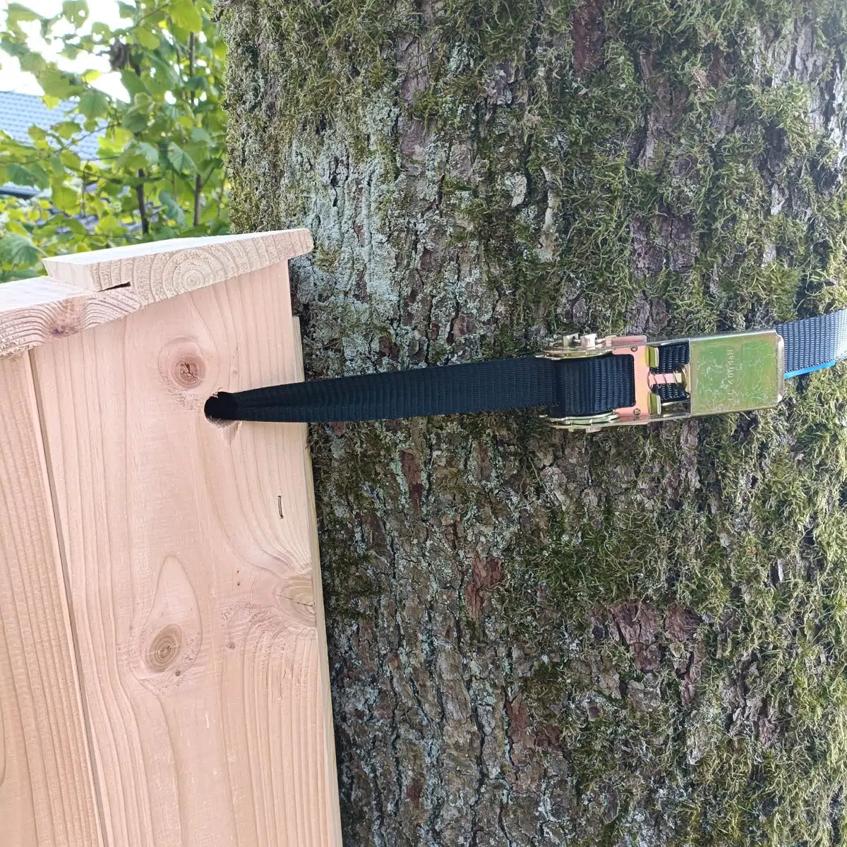 GreenTools egernkasse med tagpap i FSC douglasgran
