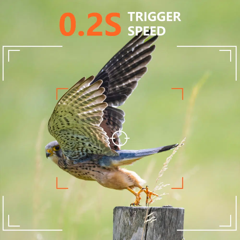 DOF BirdLife PR907W Vildtkamera